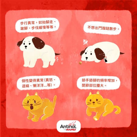 狗狗貓貓關節痛